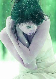 绿雪芽牌白茶直播间